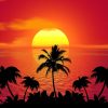 sunset, palm trees, silhouettes
