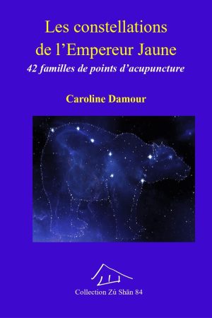 points d'acupuncture livre