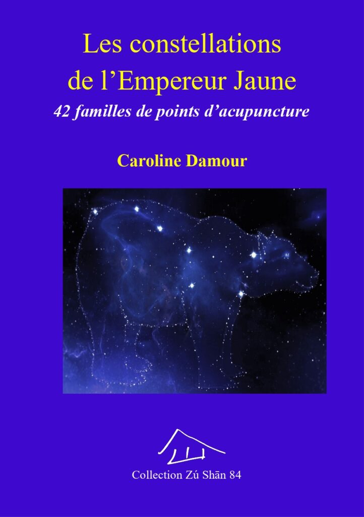 points d'acupuncture livre