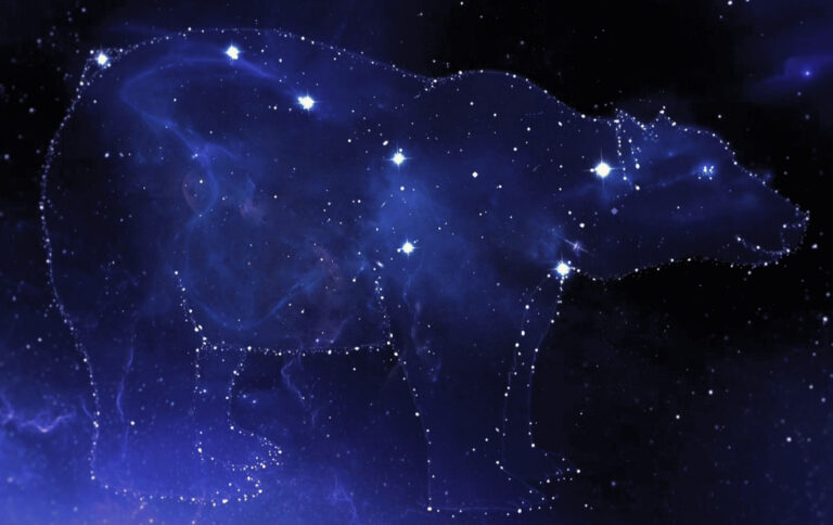 Les constellations de l’Empereur Jaune Les 43 familles de points d’acupuncture