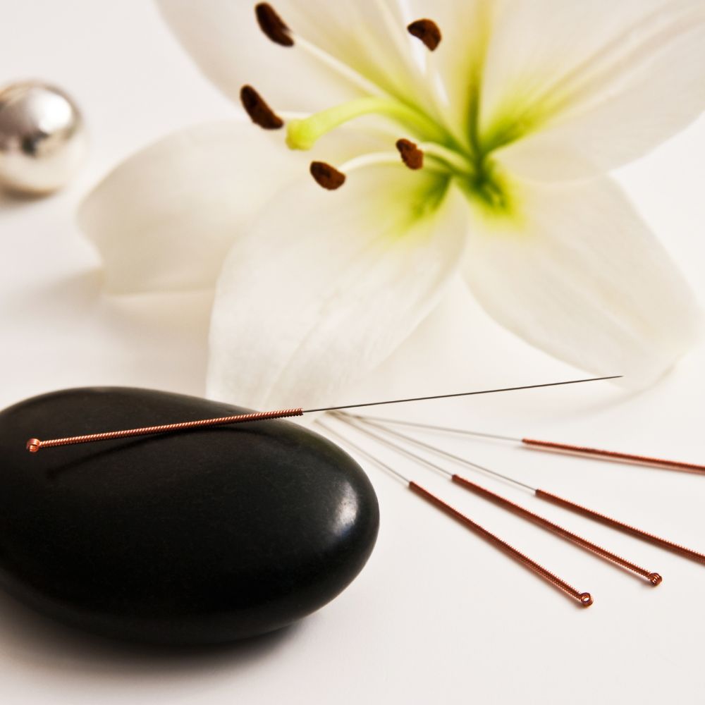 Formation en acupuncture