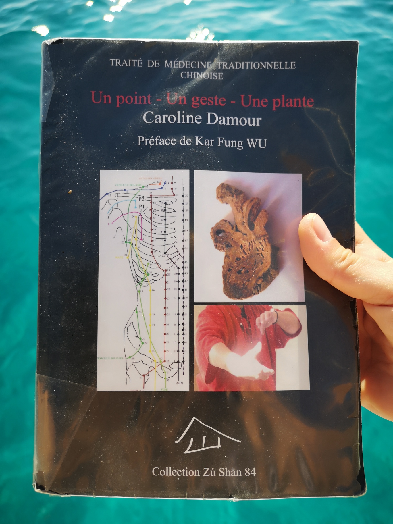 Un point - Un geste - Une plante – Image 3