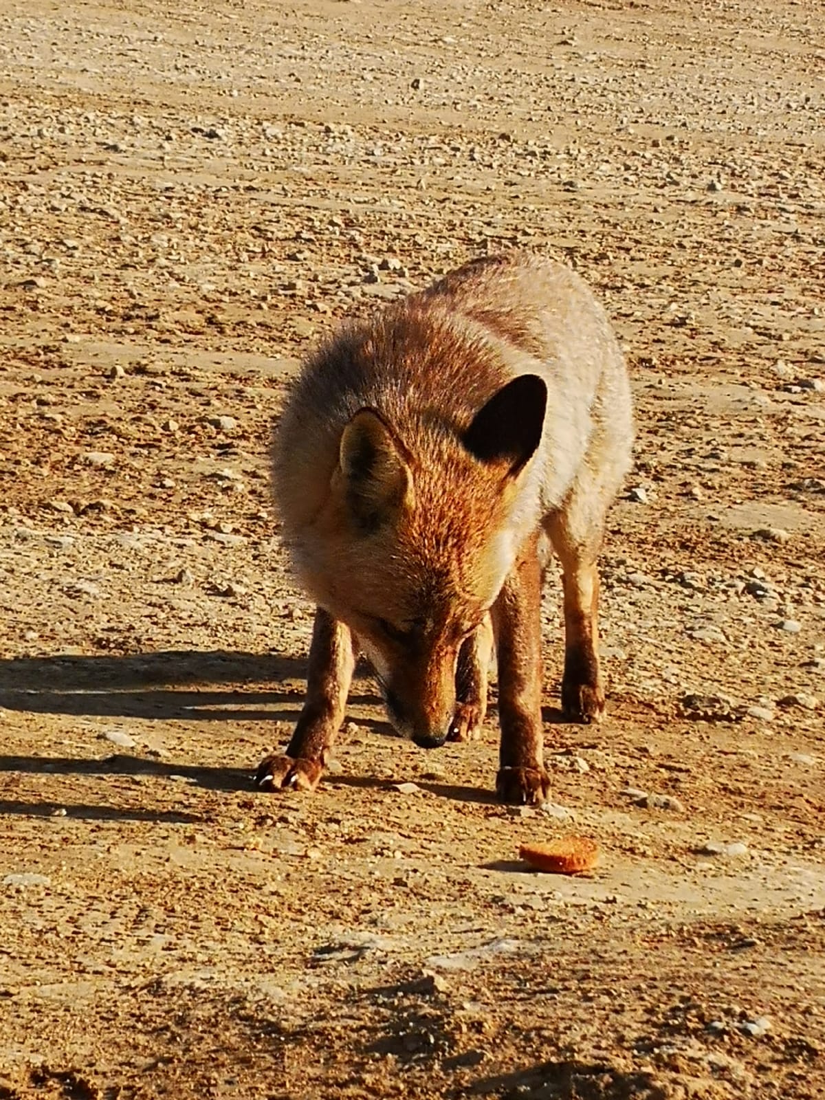 bardenas (2)