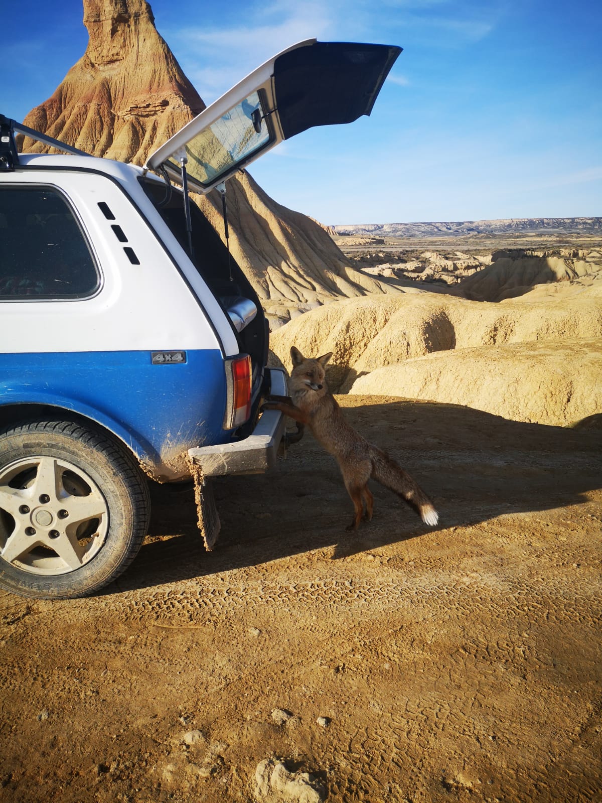 bardenas (4)